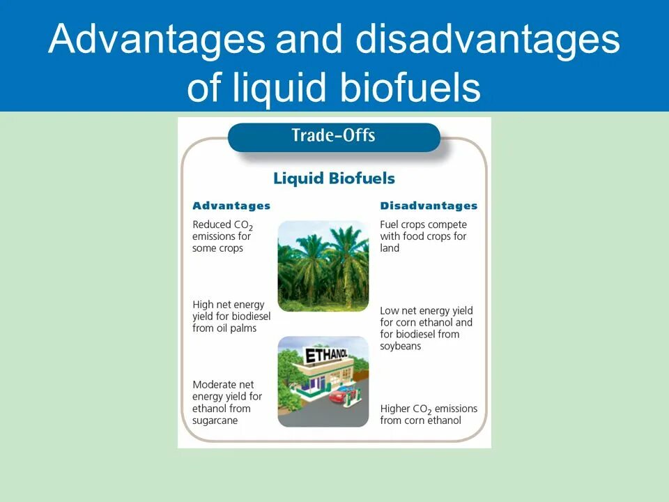 Biofuels advantages and disadvantages. Biofuels презентация. Advantages of biofuels. Analyzing the advantages and disadvantages of biofuels 10 Grade Worksheets. Advantage plan