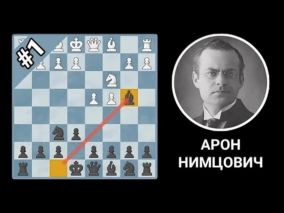 Защита нимцовича черными. Защита нимцовича черными