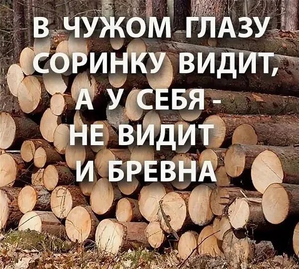 В своем глазу бревна не видит. Пословица про соломинку и бревно. в своём глазу бревна поговорка. пословица в своём глазу бревна не видит. пословица в своем глазу бревна не видно.