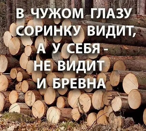 В чужой не видим и бревна. Пословица про соломинку и бревно. В своём глазу бревна поговорка. Пословица в своём глазу бревна не видит. Пословица в своем глазу бревна не видно.