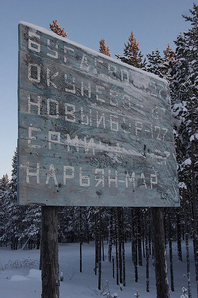 Харьяга усинск. Харьяга усть цилемского. Ермица усть-цилемский район. Харьяга усть-цилемский район коми. Деревня бор усть-цильма.