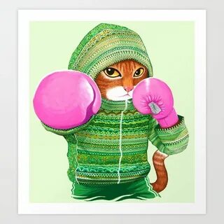 Бокс кот