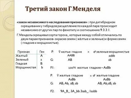 Расщепление по каждой паре признаков