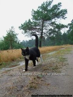 Но заметь