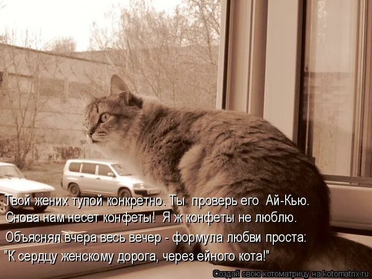 Твой жених. Будет ли свадьба. А теперь представь мем. Твой жених. Кто врёт загадки на логику.