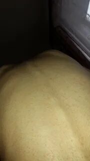 На животе спине руках