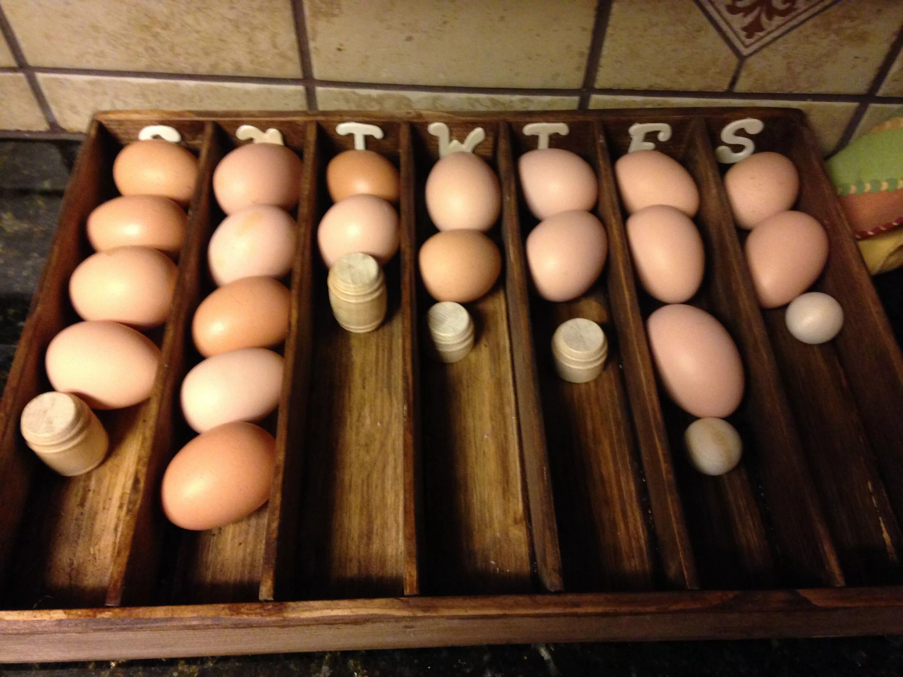 К чему снится собирать много куриных яиц. Курочка и домики для яиц. Яйца в курятнике. Фермерские яйца. Хранение яиц.