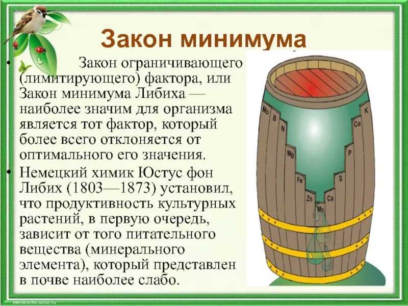 Закон ограничивающего фактора кратко. Бочка Либиха и лимитирующие факторы. Любиха лимитирующий фактор Либиха. Закон ограничивающего фактора Либиха. Бочка Либиха.