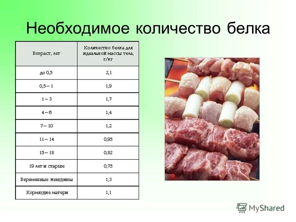 Белок число. План урока белки. Презентация по химии на тему белки 10 класс. Необходимое количество белка для идеальной массы. Урок белки 10 класс биология.