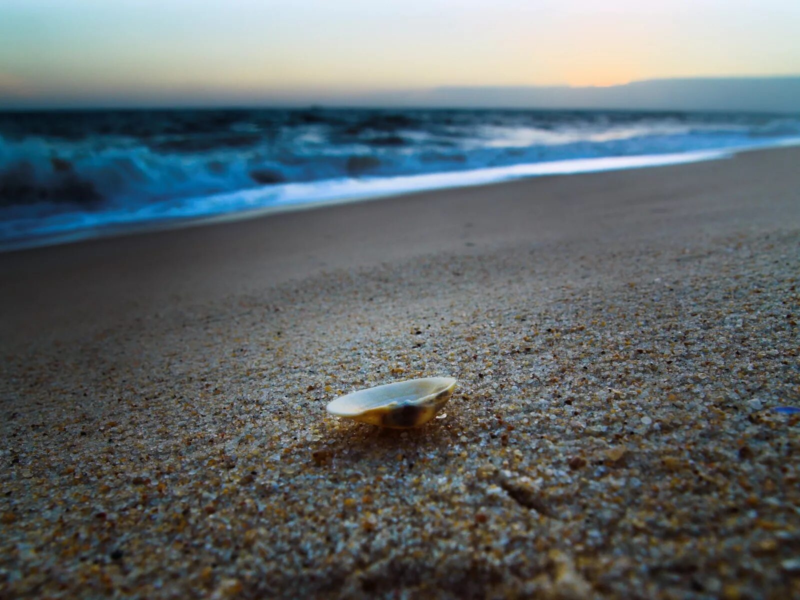 Море. Море пляж. Море песок. Ракушки на берегу моря.