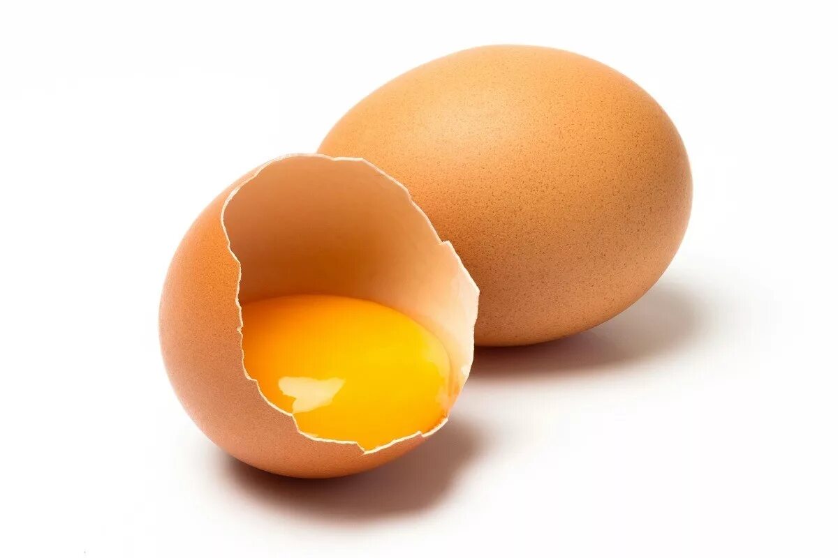 Egg на русском