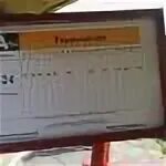 Расписание автобусов толстяково солнечногорск
