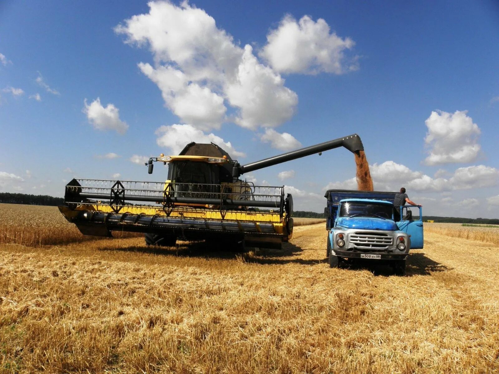 Зерновой комбайн claas. Техника уборки урожая. Комбайн в поле. Уборка урожая. Комбайн нива в поле.