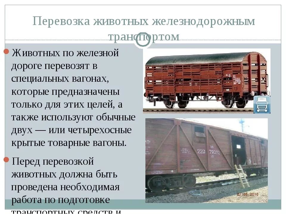 Какие предметы на жд