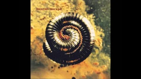 Inch nails closer