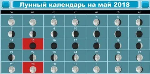 Фаза луны для стрижки волос май 2024