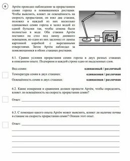 Образцы впр 2025 года