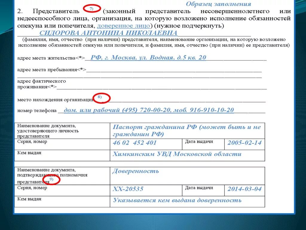Представителя с данными указанными в. Документ подтверждающий полномочия законного представ. Документ подтверждающий полномочия законного представителя ребенка. Документ удостоверяющий полномочия законного представителя. Реквизиты документа подтверждающего полномочия представителя.