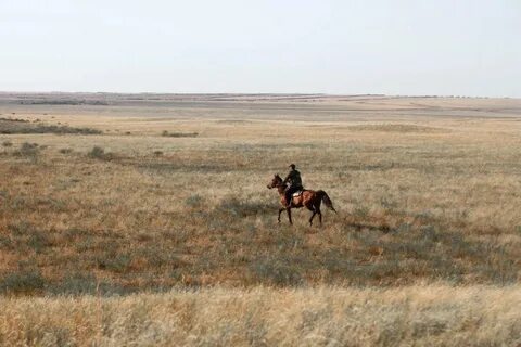 Татары в степи