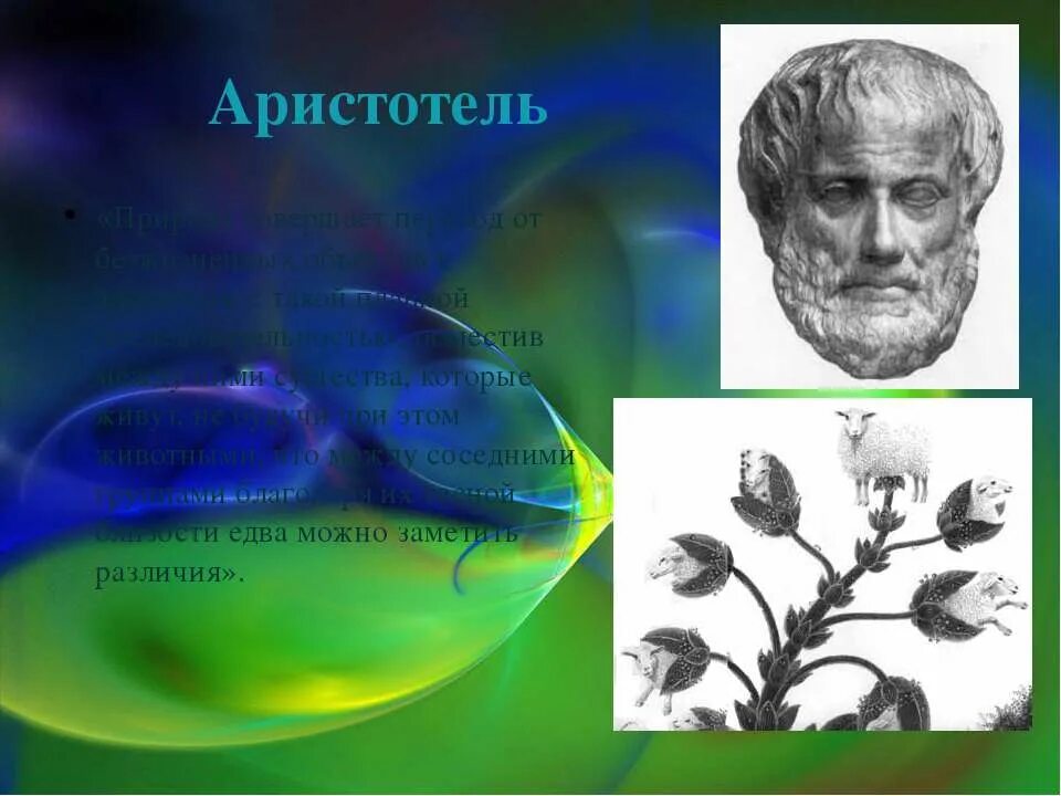 Гипотеза аристотеля. Самопроизвольное Зарождение жизни картинки. Аристотель о природе. Гипотеза самозарождения жизни. Аристотель представление о природе.