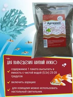Артемией корм