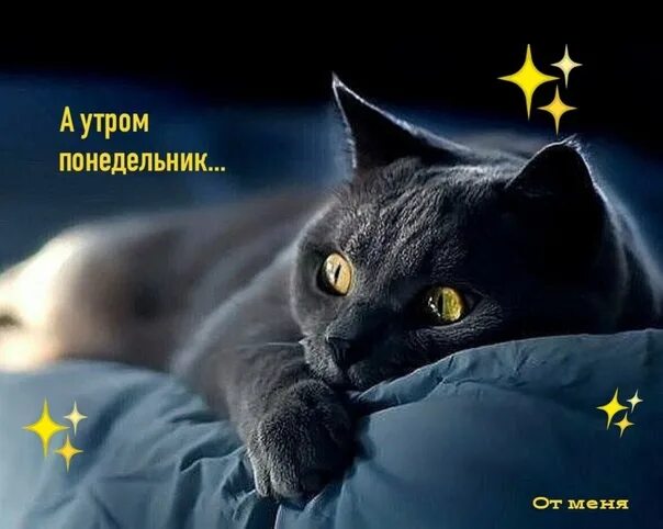 Утро ночи мудренее. Спокойной ночи утро вечера мудренее. Спокойной ночи утро вечера мудренее картинки. Понедельник утро и вечер. Открытка спокойной ночи утро вечера мудренее.