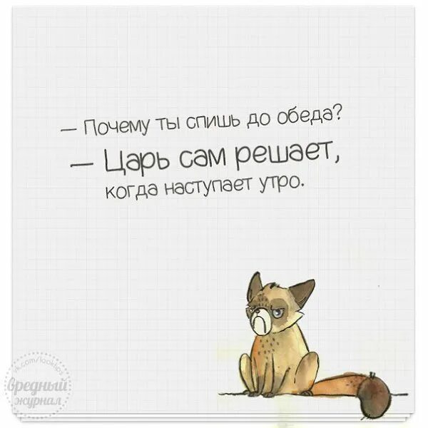 Не спать!. Почему не спится. Смешные переписки в ватсапе до слёз. Почему не спишь. Веселые переписки от людей.