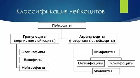 К каким результатам они привели