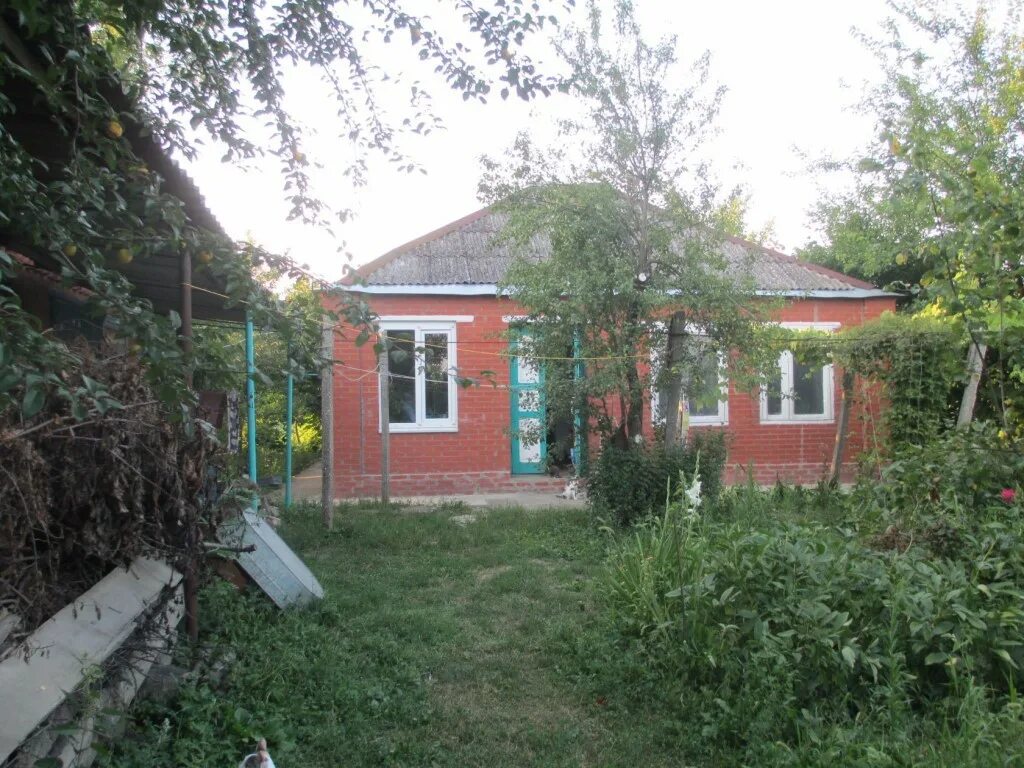 Аул афипсип адыгея. Аул афипсип тахтамукайский район. Аул афипсип тахтамукайский район. Мечеть аул уляп. Афипсип адыгея краснодарский край аул.