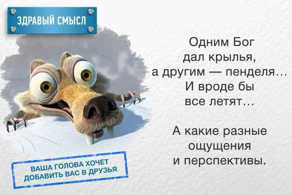 Вроде означает. Пендель. Одним Бог дал Крылья а другим. Пендель картинка. Веселый пендель.