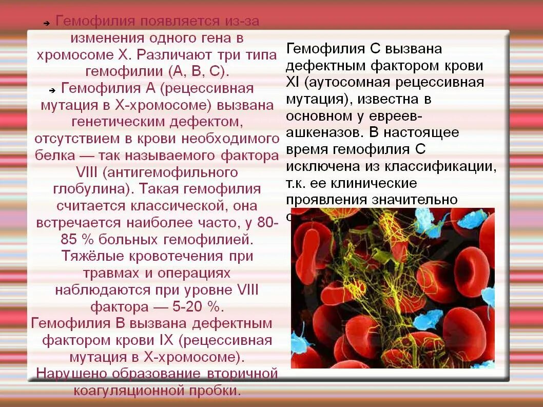 Гемофилия типа а. Свертывание крови гемофилия. факторы свертываемости крови гемофилия.