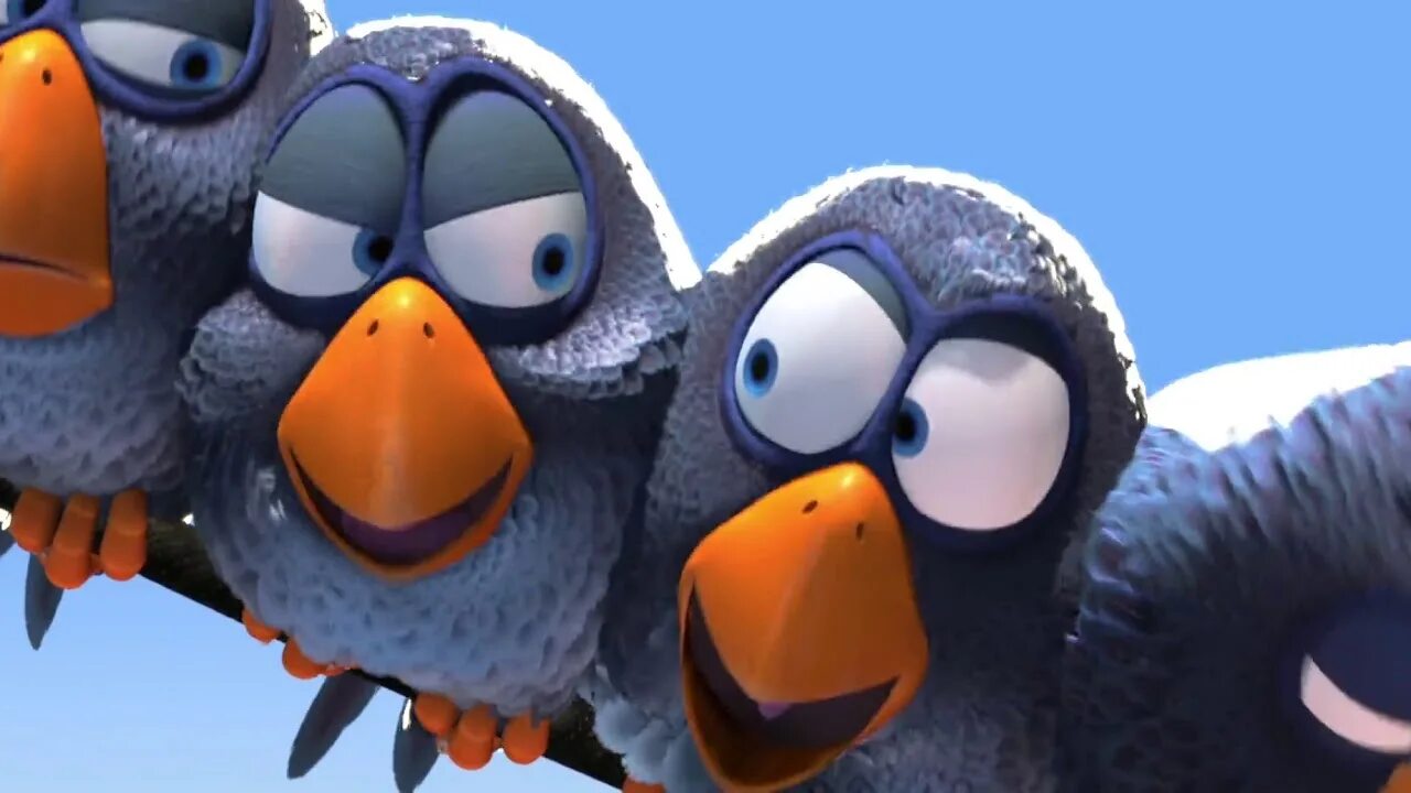 The birds part 1