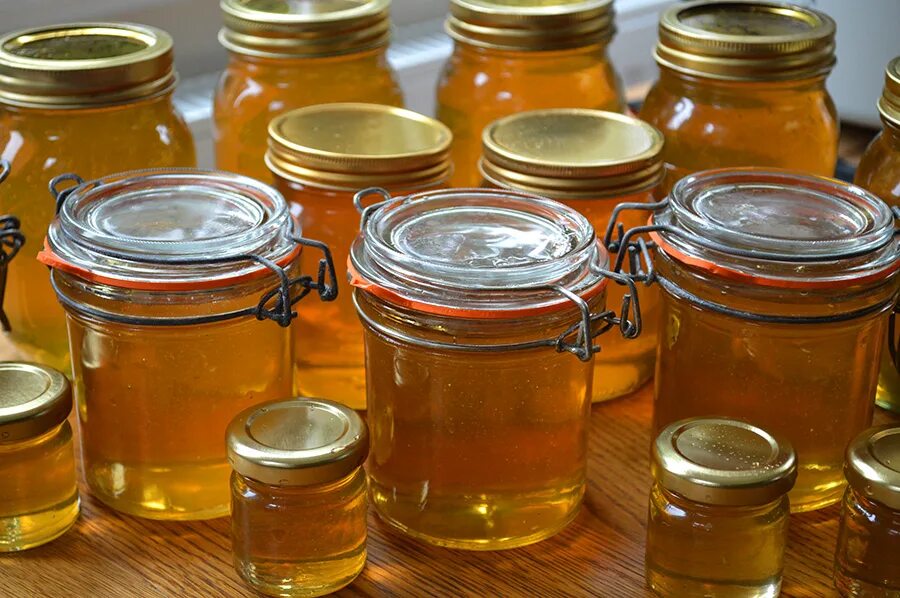 Thyme Honey. Pictures a lot of Honey. The best Exporter of Honey. Сайт куплю мед