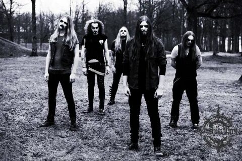 Carpathian forest