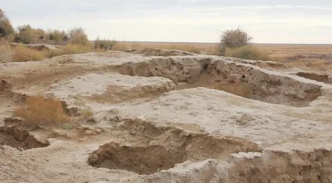 Жыныс мүшелерінің порносына жасалған эксперименттер