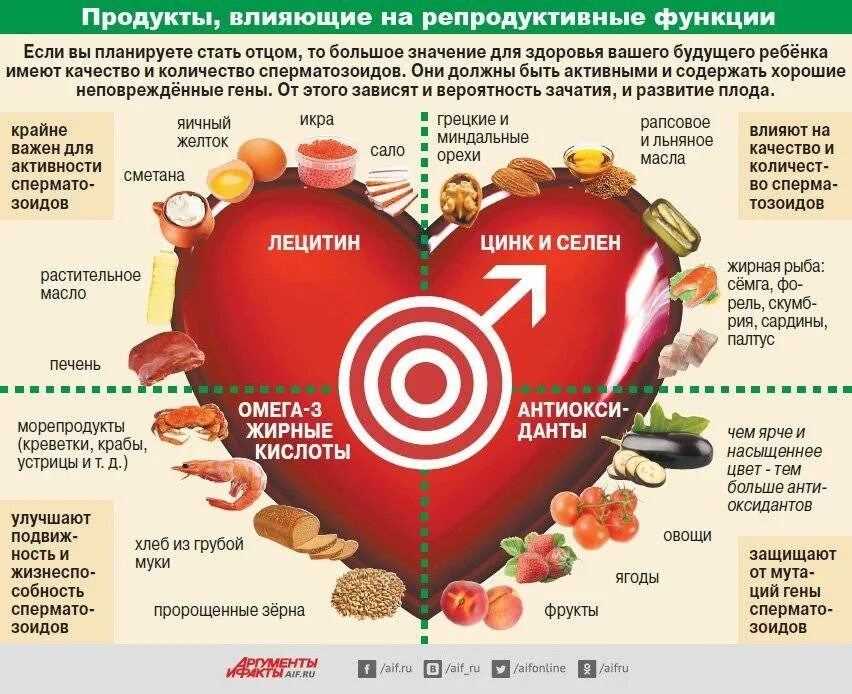 Какие продукты увеличивают семенную жидкость. Продукты улучшающие спермограмму. продукты для улучшения качества спермограммы. продукты влияющие на репродуктивные. продукты влияющие на репродуктивные функции.