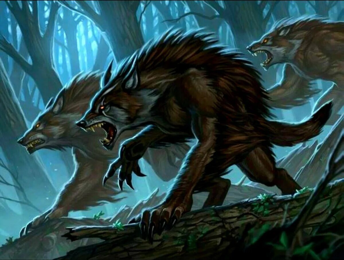 Вервольф волк оборотень. Волк оборотень Werewolf. Оборотни Ликаны вервольфы. Оборотень волк ликантроп. Драконы оборотни книги