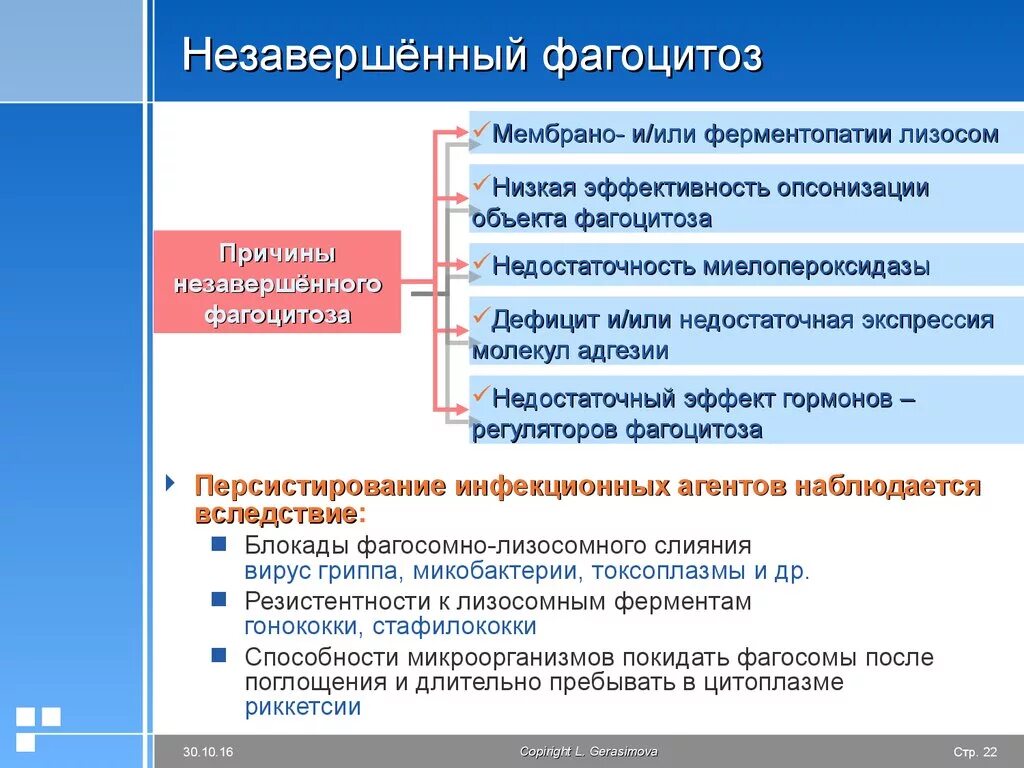 Незавершенный фагоцитоз схема. Клеточный фагоцитоз схема. Фагоцитоз завершенный и незавершенный схема. Завершенный фагоцитоз заканчивается. Факторы бактерицидности фагоцитов.