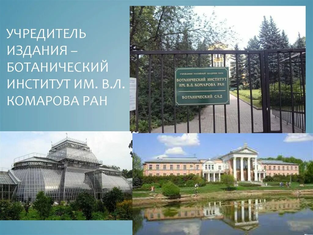 Сайт ботанического института. Ботанический институт им Комарова РАН. Сад ботанического института им. в.л. Комарова 1714. Ботанический музей Бин РАН Санкт-Петербург. Ботанический институт им. в.л. Комарова РАН (Г. Санкт-Петербург).