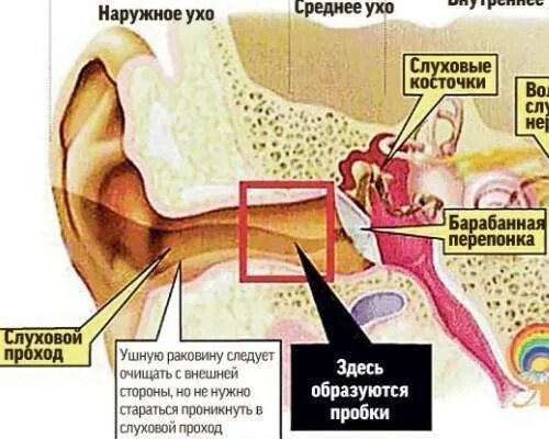 Почему слышен стук сердца в ушах