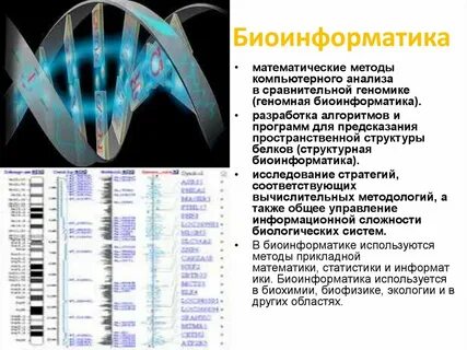 Методы компьютерного анализа