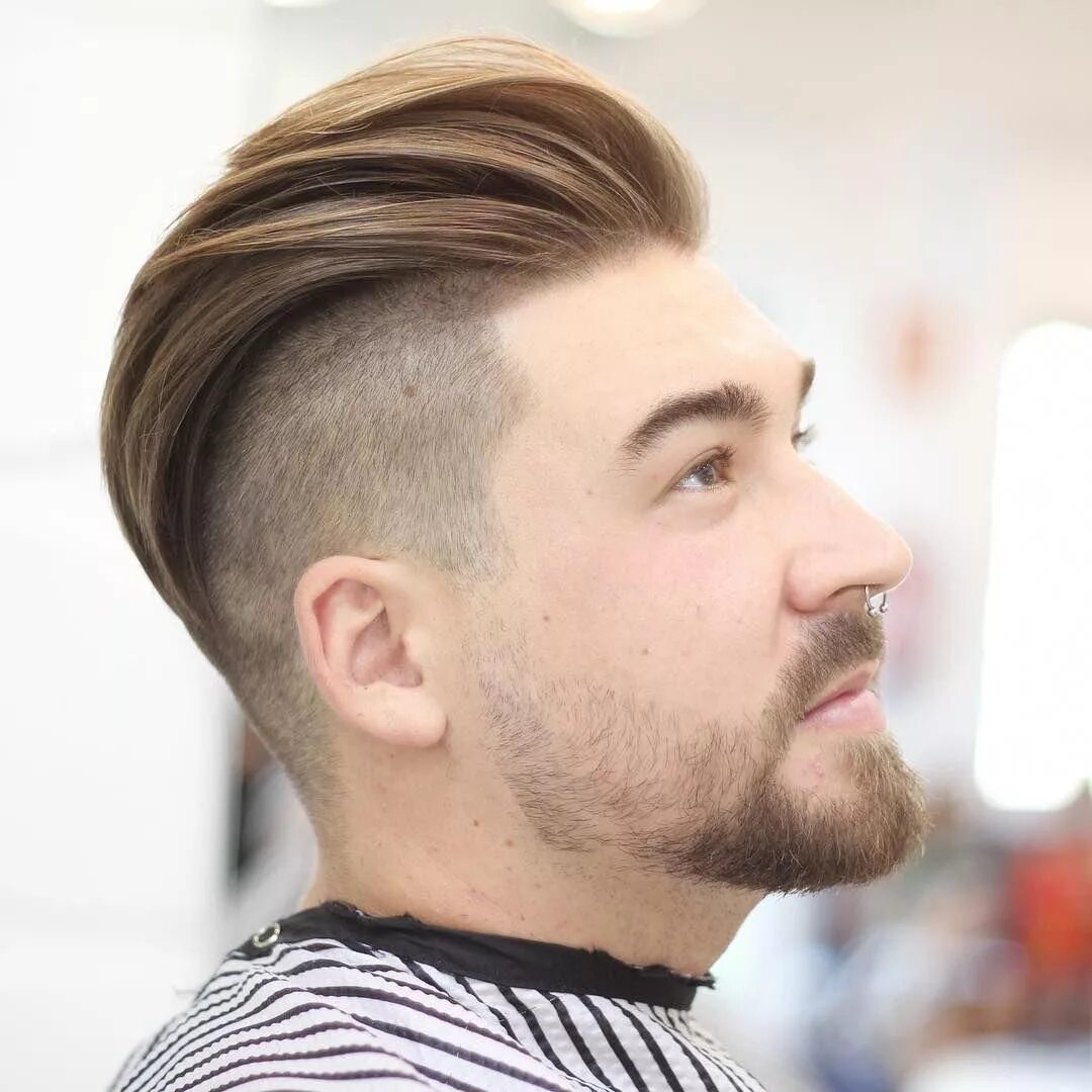 Андеркат undercut. Керлис андеркат. Андеркат 2022. Андеркат британка мужская. Андеркат британка канадка.