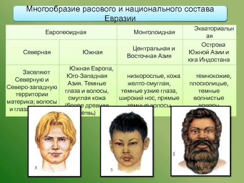 Основные занятия народов евразии. Расовое многообразие. Народы Евразии. Расовый состав Евразии. Народы проживающие в Евразии.