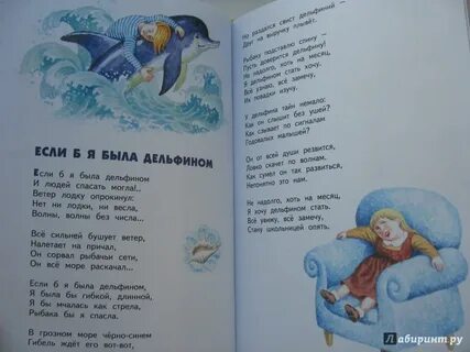 Стихи дельфина читать