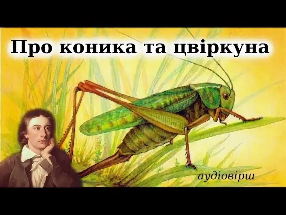 Джон Кітс "про Коника і цвіркуна". Джон Кітс про Коника і цвіркуна вірш. Коник стрибунець вірш. Читати про Коника та цвіркуна.