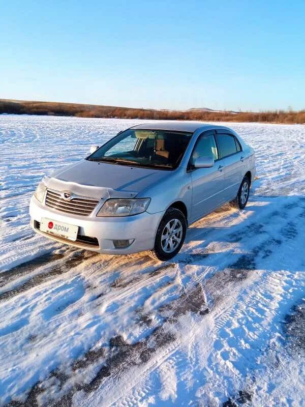 Машина в забайкальском крае. Забайкал авто. Дром Чернышевск. Купить "Тойота Королла" 2005 года, фото, снег. Ты любишь. Дром Чернышевск продажа.