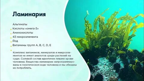 Сколько ламинарии