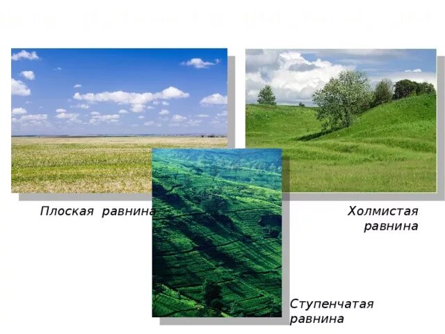 Строение земной коры равнины. Равнины виды равнин. Плоские по виду равнины. Равнины соответствует. Характер поверхности равнин.