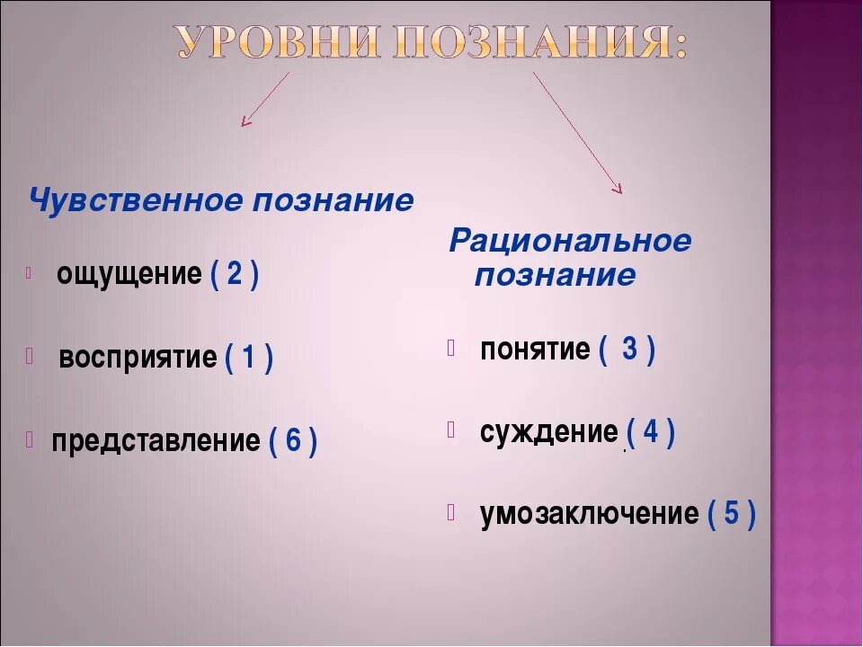 1 чувственное 2 рациональное логическое. Чувственное познание 2) рациональное познание. Этапы чувственного познания. Этапы рационального познания. Ощущение рациональное познание.