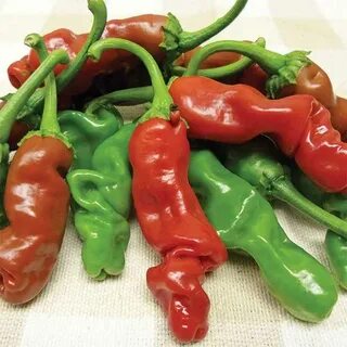 Buy pepper